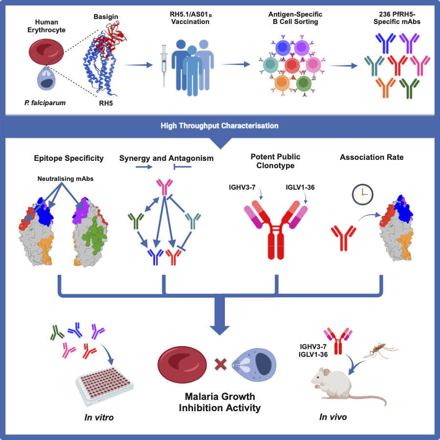 240411 barrett et al graphical abstract