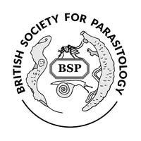 bsp logo